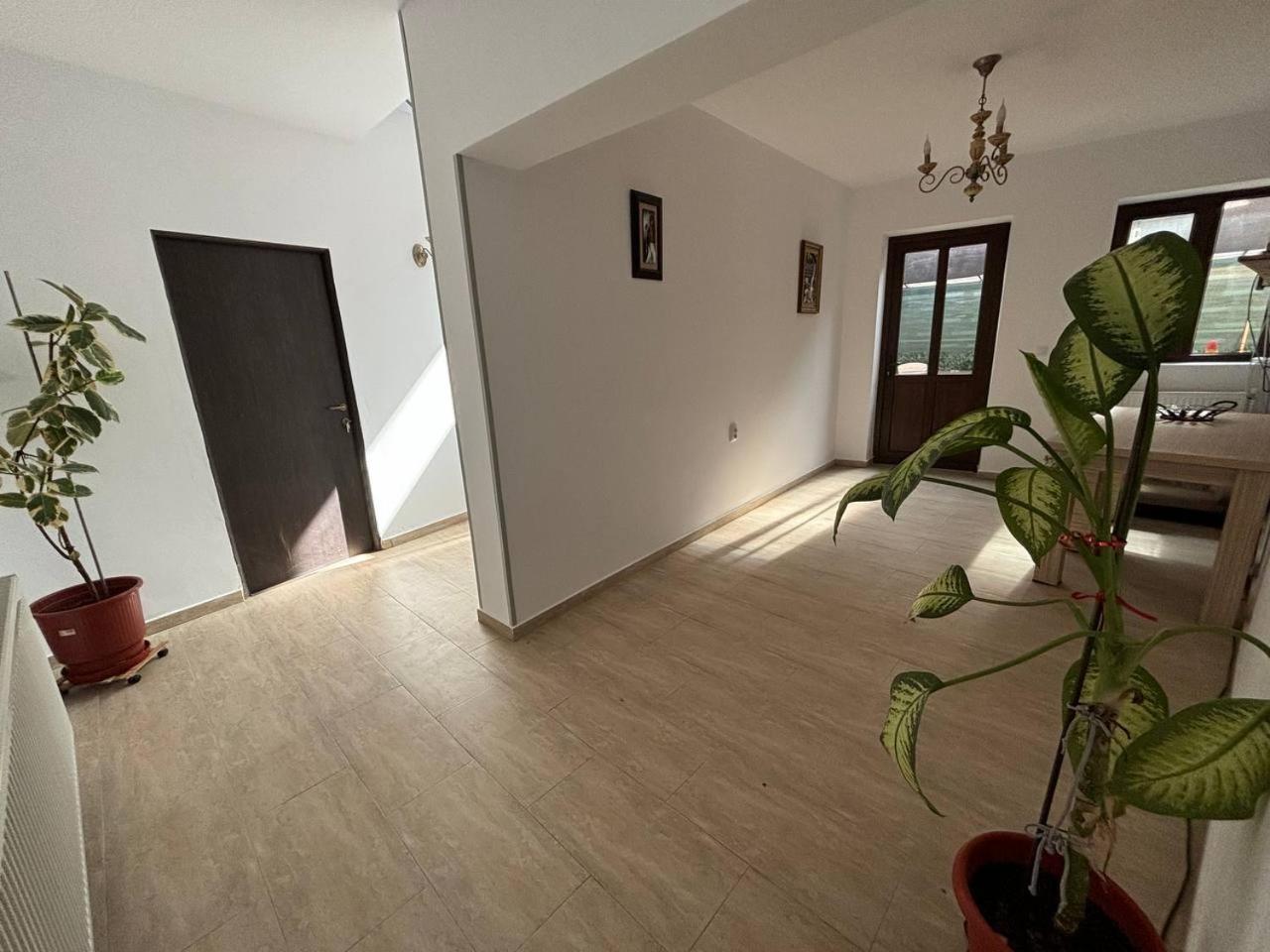 Alexander Residence Brăila Exteriér fotografie